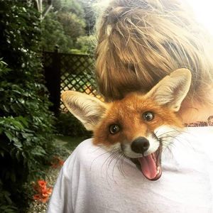 Meet your Posher, Connie